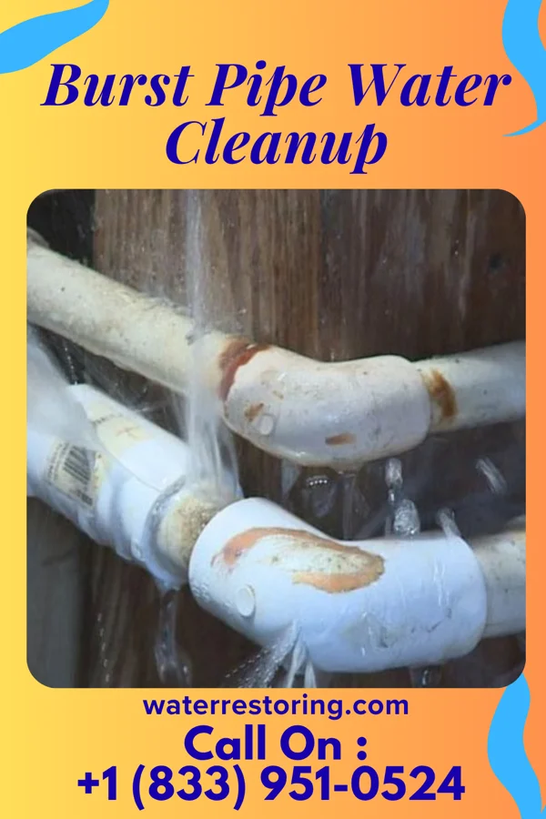 Burst Pipe Water Cleanup in Lake Medina Shores, TX